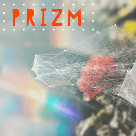 PRIZM