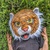 Tiger Gang