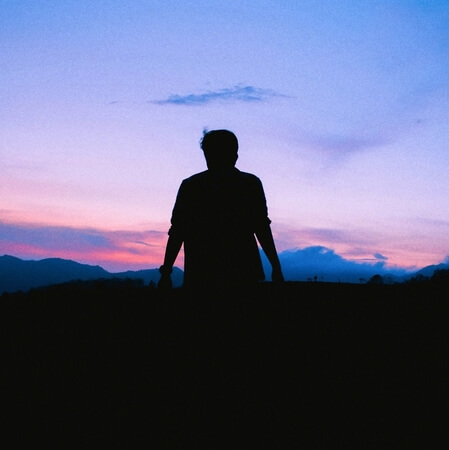 Wild Sky