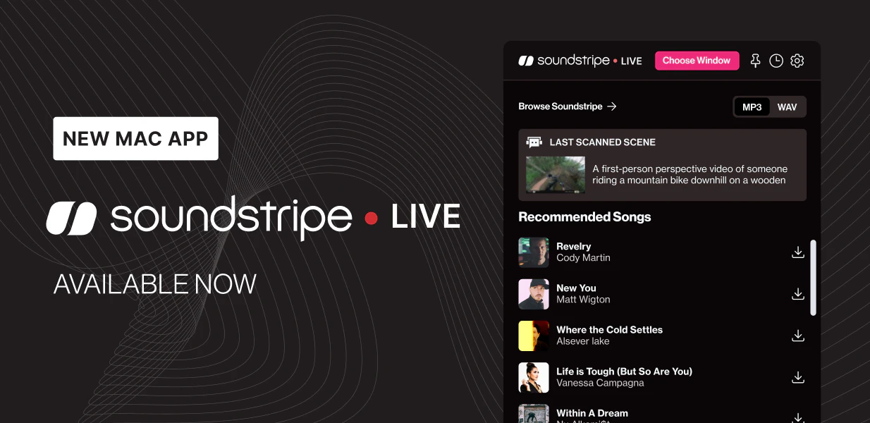 Download Soundstripe LIVE