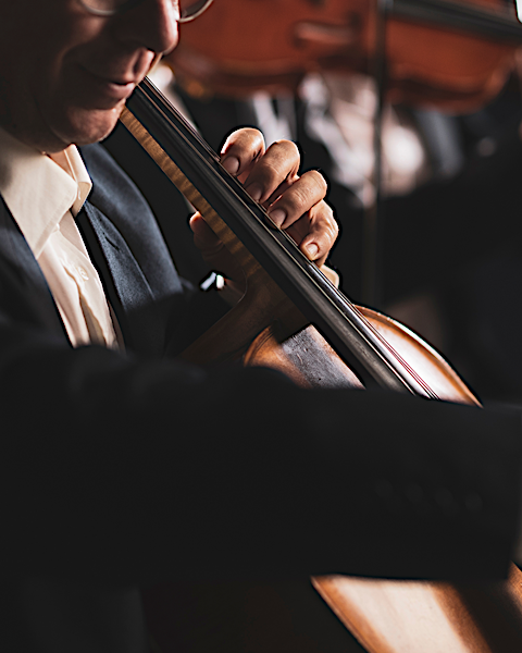 Budapest Strings