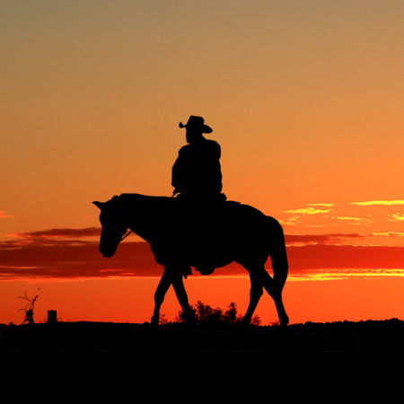 The Wild West